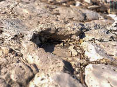...scorgiamo un�ulteriore impronta, meno definita delle precedenti
